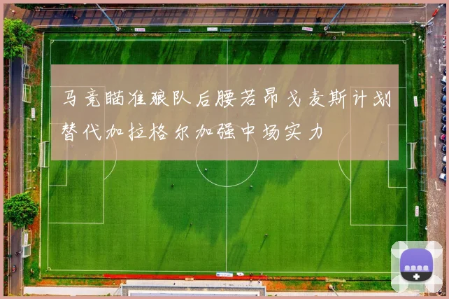 马竞瞄准狼队后腰若昂戈麦斯计划替代加拉格尔加强中场实力